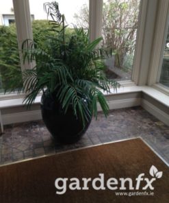 Entrance Coir Matting - Image 9