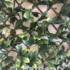 Savanna-Artificial-Hedge
