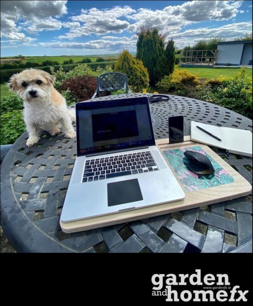 Lapdesk - Laptop desk
