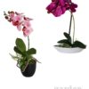 Indoor Artificial Plant Gift Ideas