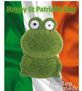 Irish Flog on st patricks day