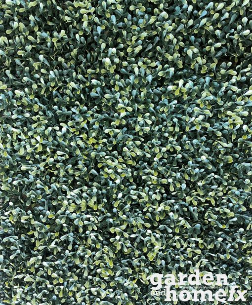 Traditional Box or Buxus artificial hedge panels supplied in Dublin, www.GardenandHomeFX.ie