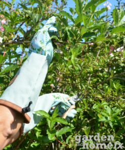 Esschert long length gardening gloves - rose print. Stocked in Dublin Ireland. www.gardenandhomefx.ie